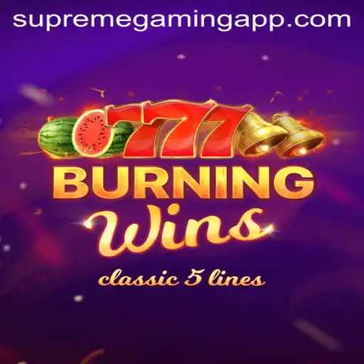 Discover the Thrilling World of BurningWins